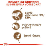 Royal Canin Aliment Humide Chat Ageing 12+ en sauce 85 G